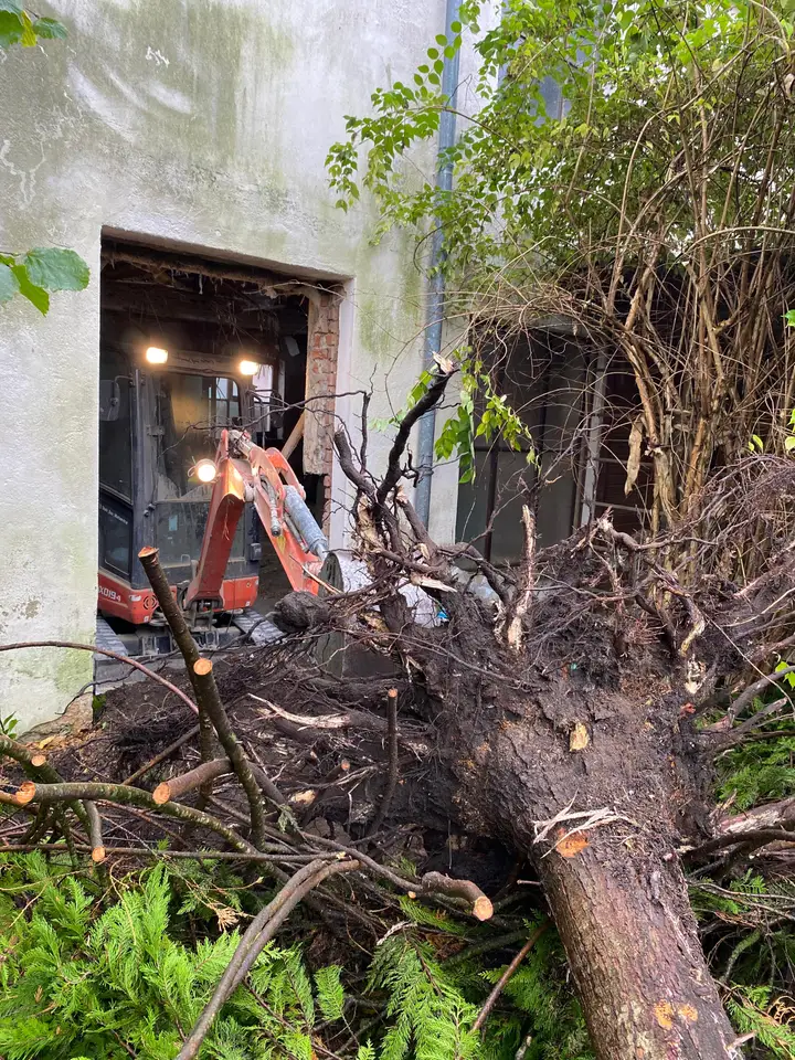Umgelegter Baum mit Wurzelwerk vor einem Gebäude, dahinter der Minibagger