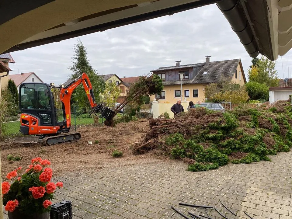 Minibagger in einem Garten, daneben ein Haufen gerodeter Hecke