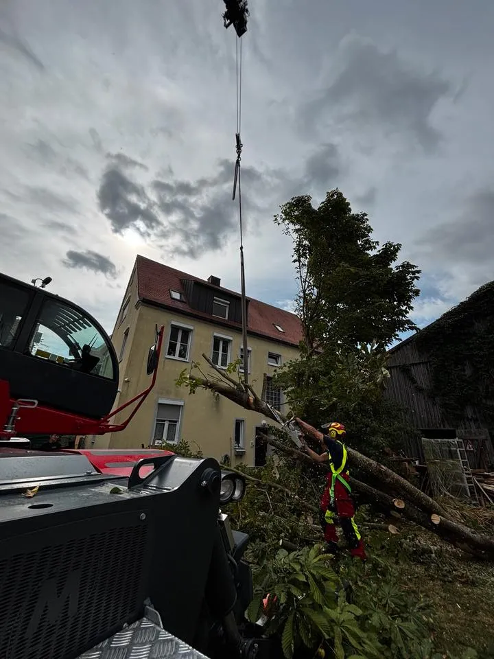 Baumstamm hängt am Seil des Teleskopladers zwischen Wohnhäusern
