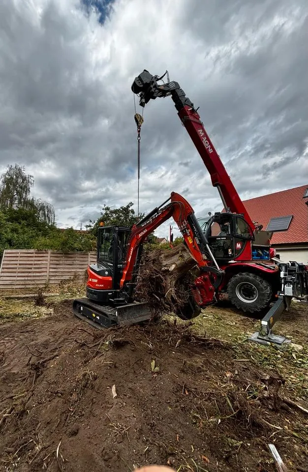 Minibagger reißt einen Wurzelstock aus, daneben ein Teleskoplader mit Greifer